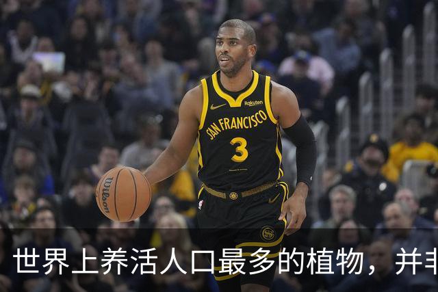 世界上养活人口最多的植物，并非小麦和玉米，而是来自亚洲的奇迹