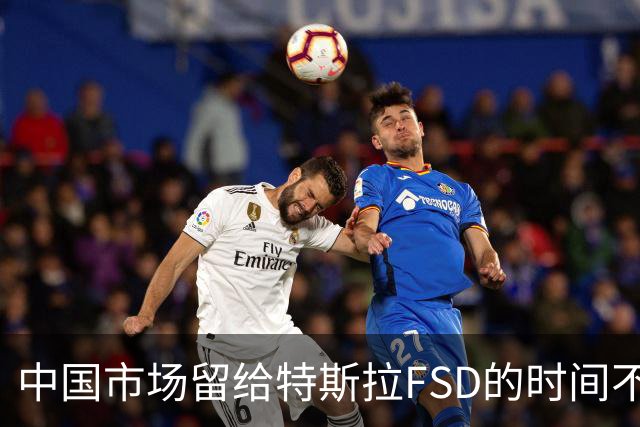 中国市场留给特斯拉FSD的时间不多了？