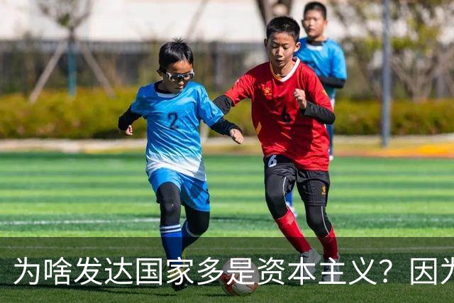 为啥发达国家多是资本主义？因为他们抢了钱再顺便搞了资本主义。