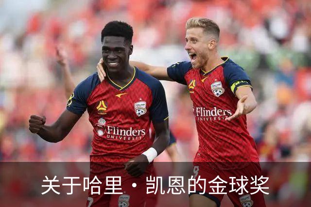关于哈里·凯恩的金球奖