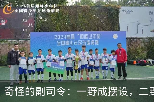 奇怪的副司令：一野成摆设，二野四野干脆没有，三野相当于司令