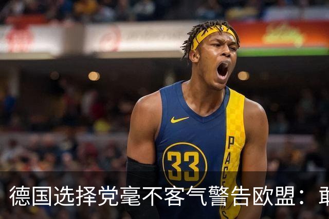 德国选择党毫不客气警告欧盟：敢拒绝我们的提议，后果将十分严重