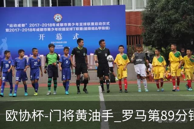 欧协杯-门将黄油手 罗马第89分钟遭绝杀1-2客负