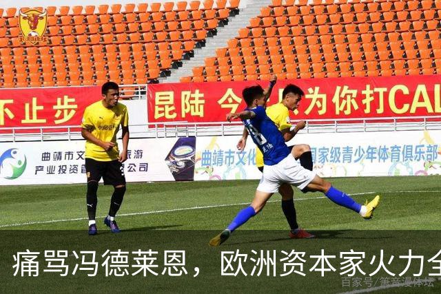 痛骂冯德莱恩，欧洲资本家火力全开：欧洲议会里全是蠢人
