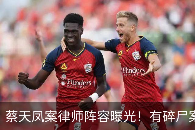 蔡天凤案律师阵容曝光！有碎尸案无罪辩护经验，曾参与60亿洗钱案